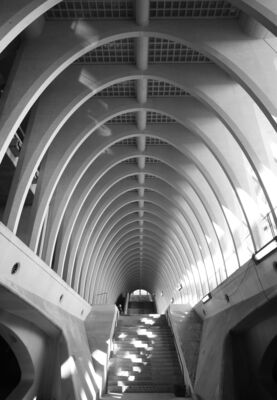 Webinar Preview Construct